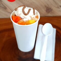 Salpicón con helado 8 onz.